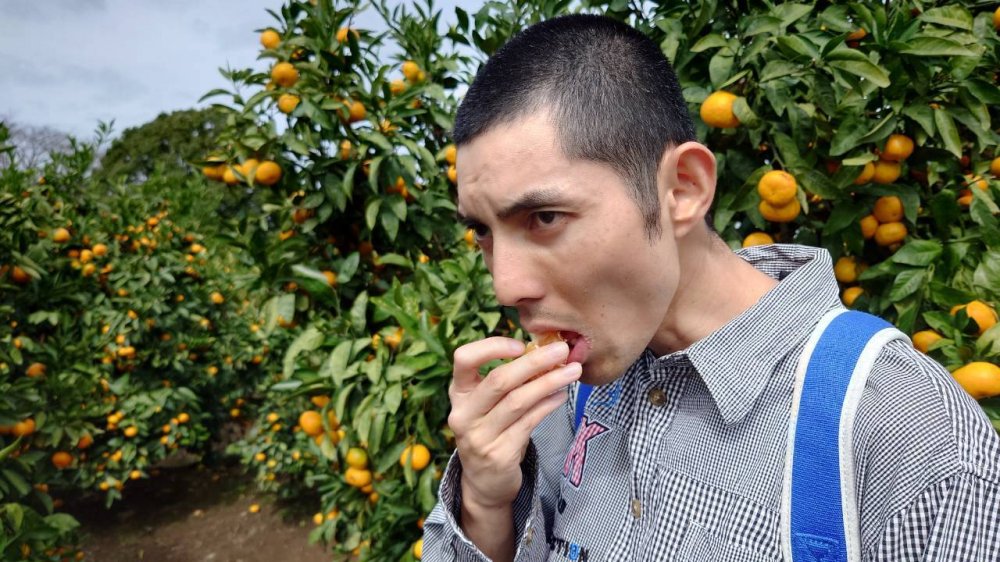 20261027100516.10.22-23 伊豆旅行_261025_91.jpg 20261027100516.10.22-23 伊豆旅行_261025_91.jpg